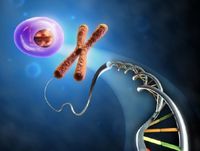 DNA onderzoek is d&eacute; toekomst op het gebied van preventie!